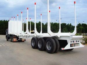 Drvo izvornog drvenom zidnom polugom